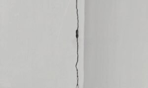 IMG_20260226_232236_copy_800x544